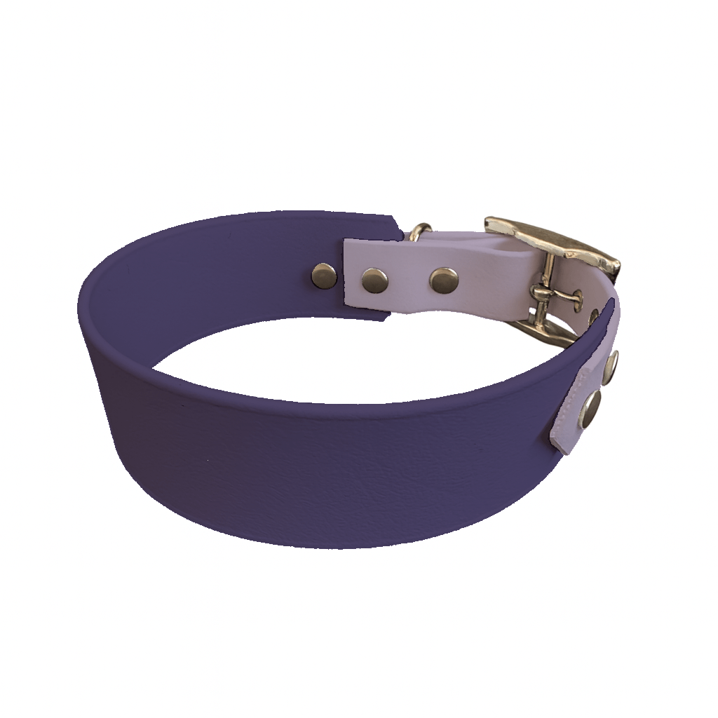 L'atelier du Fourmilier collier bicolore Violet Collier Large Bicolore en BioThane® – 38 mm / 25 mm – coloris personnalisable