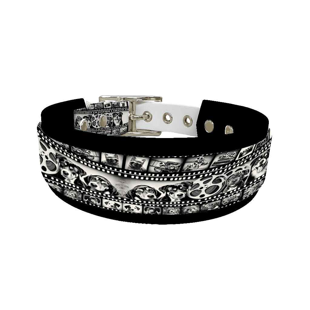 L'atelier du Fourmilier collier double 105 Collier double large pour chien en BioThane® imprimé – Collection chiens– 38/25 mm