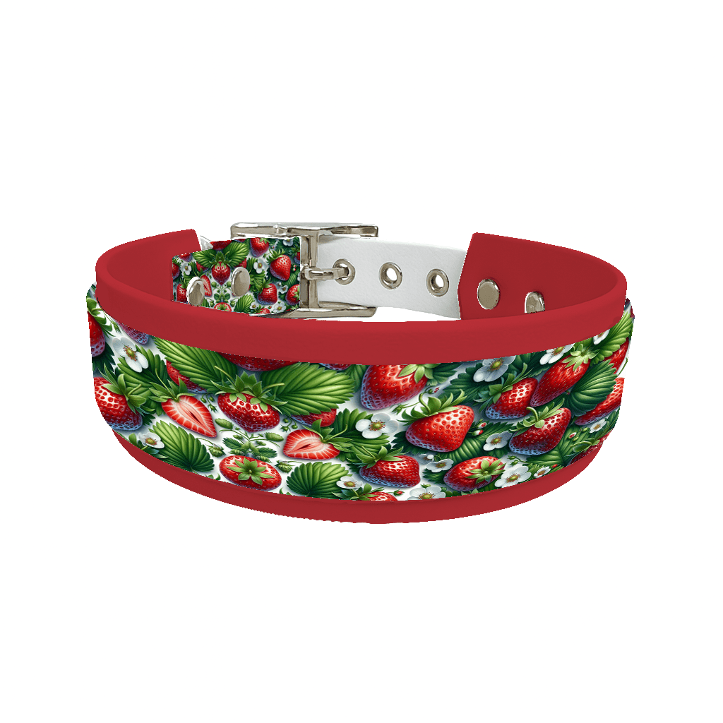 L'atelier du Fourmilier collier double 107 Collier double large pour chien en BioThane® imprimé – Collection gourmandise – 38/25 mm