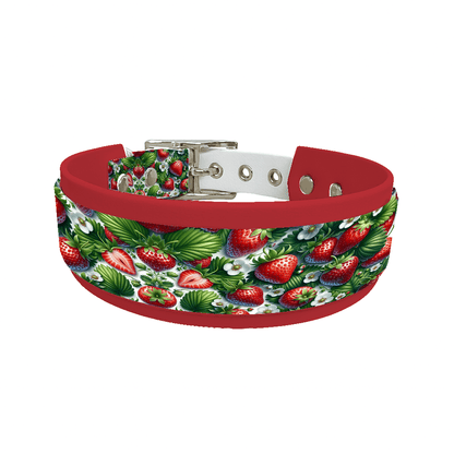 L'atelier du Fourmilier collier double 107 Collier double large pour chien en BioThane® imprimé – Collection gourmandise – 38/25 mm