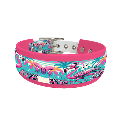 L'atelier du Fourmilier collier double 108 Collier double large pour chien en BioThane® imprimé – Collection pop art– 38/25 mm