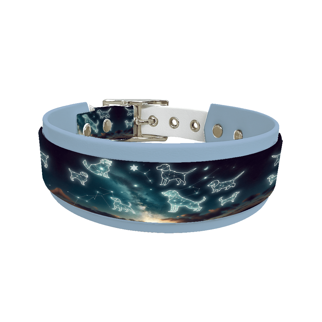 L'atelier du Fourmilier collier double 111 Collier double large pour chien en BioThane® imprimé – Collection galaxie – 38/25 mm