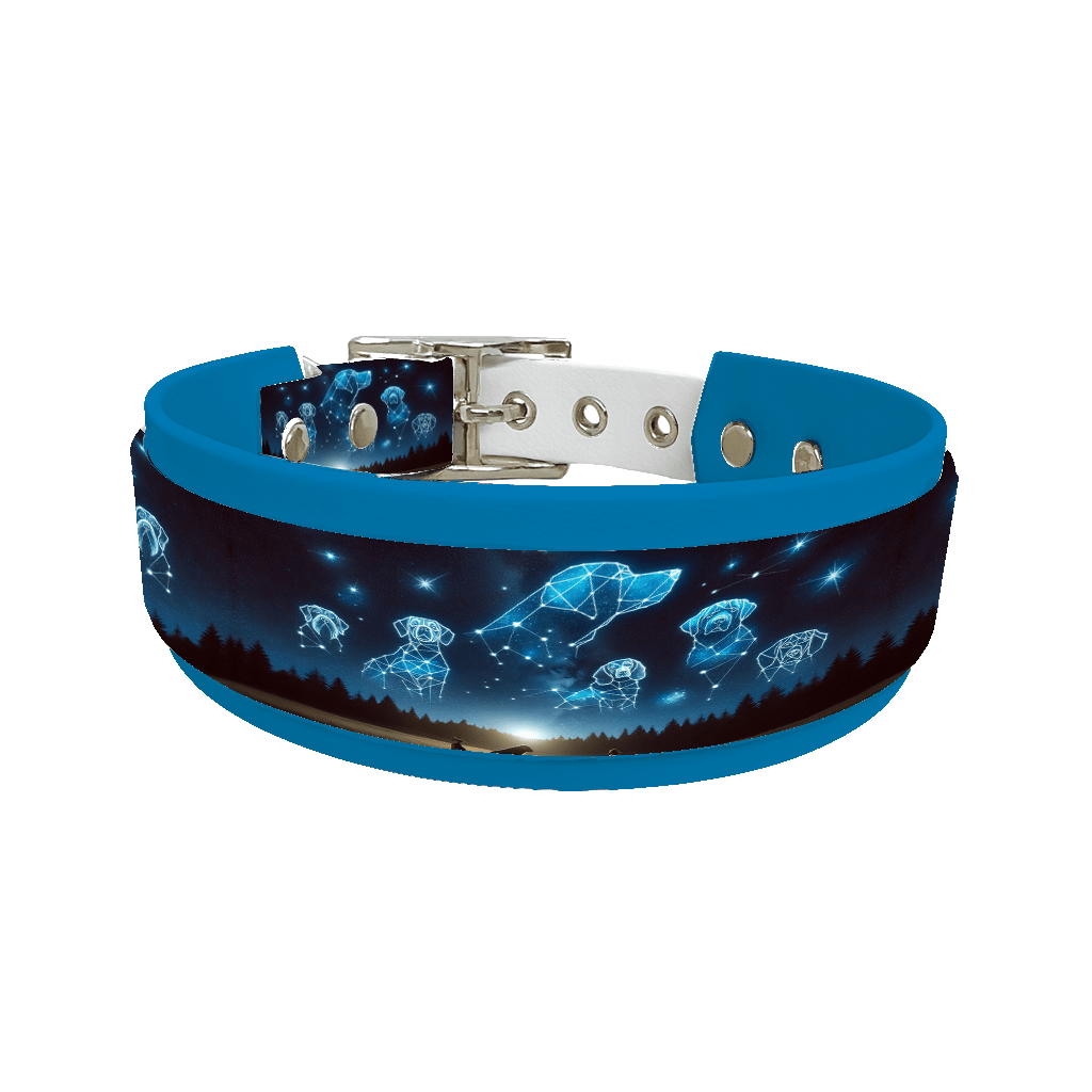 L'atelier du Fourmilier collier double 113 Collier double large pour chien en BioThane® imprimé – Collection galaxie – 38/25 mm