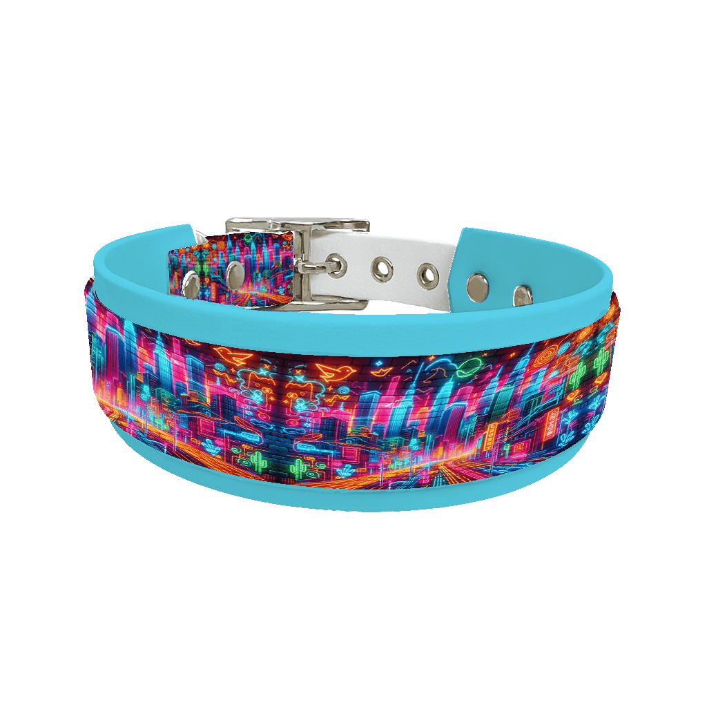 L'atelier du Fourmilier collier double 115 Collier double large pour chien en BioThane® imprimé – Collection pop art– 38/25 mm