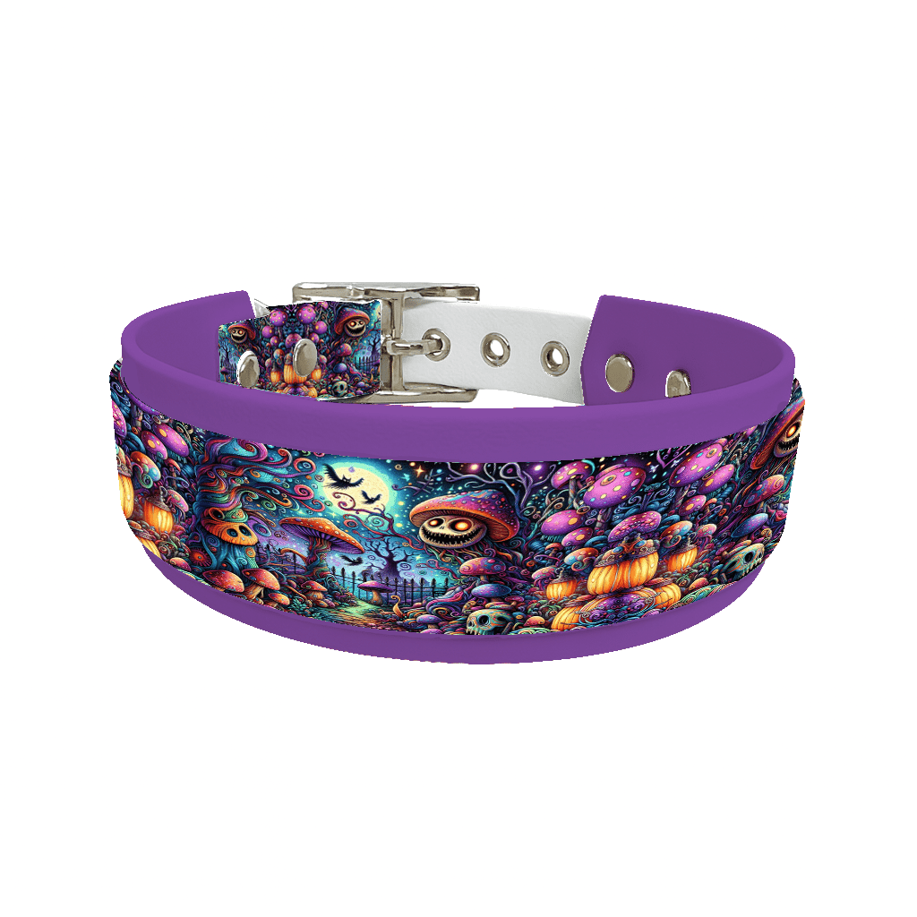 L'atelier du Fourmilier collier double 142 Collier double large pour chien en BioThane® imprimé – Collection Halloween– 38/25 mm
