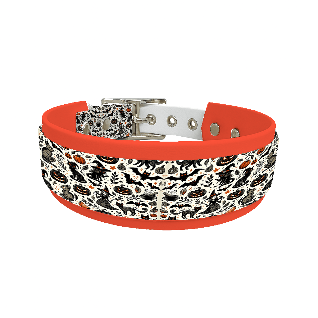 L'atelier du Fourmilier collier double 144 Collier double large pour chien en BioThane® imprimé – Collection Halloween– 38/25 mm