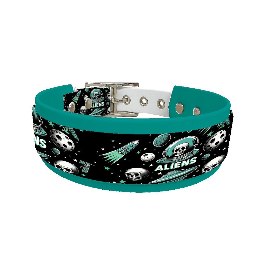 L'atelier du Fourmilier collier double 167 Collier double large pour chien en BioThane® imprimé – Collection pop art– 38/25 mm