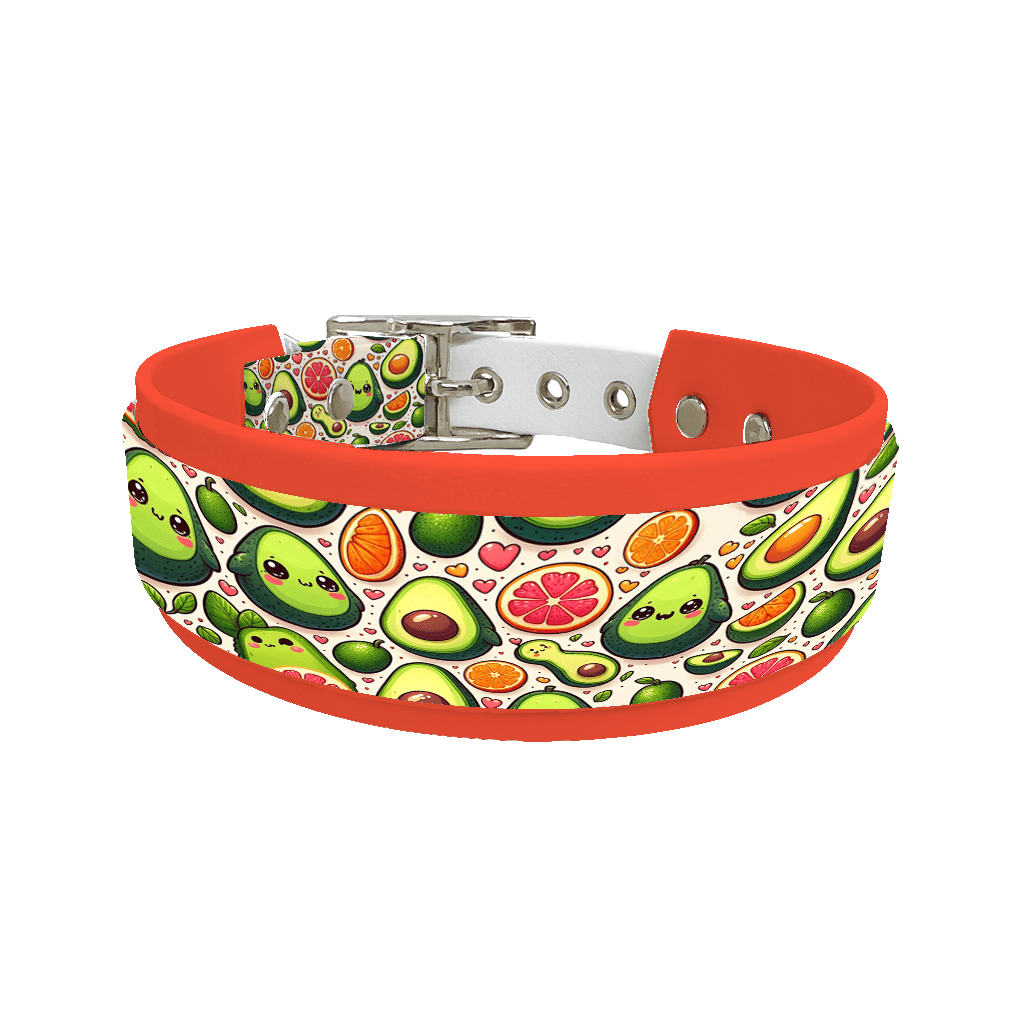 L'atelier du Fourmilier collier double 17 Collier double large pour chien en BioThane® imprimé – Collection gourmandise – 38/25 mm