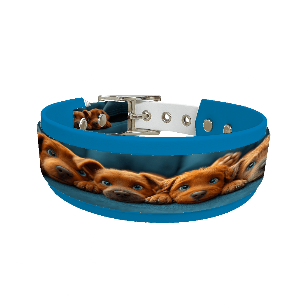 L'atelier du Fourmilier collier double 182 Collier double large pour chien en BioThane® imprimé – Collection chiens– 38/25 mm