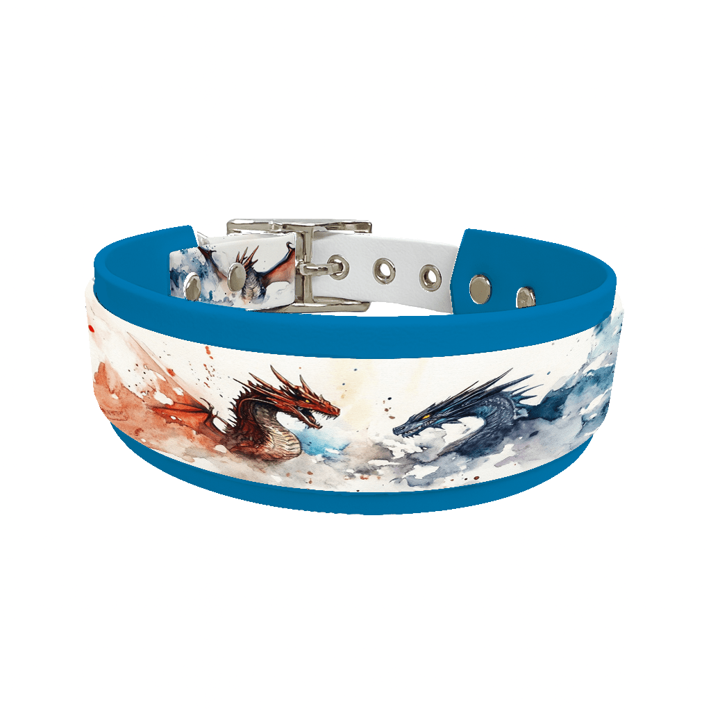 L'atelier du Fourmilier collier double 204 Collier double large pour chien en BioThane® imprimé – Collection monstres et créatures imaginaires– 38/25 mm