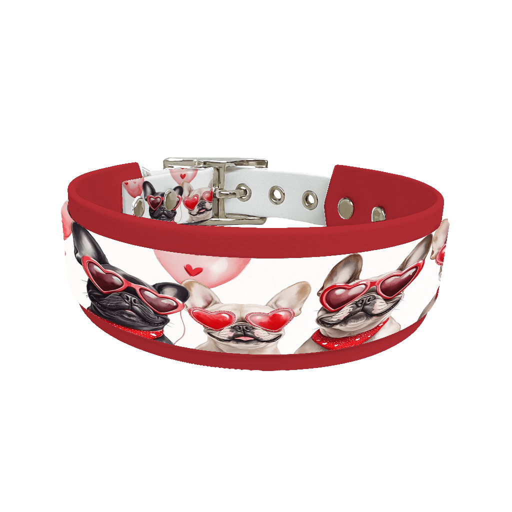 L'atelier du Fourmilier collier double 207 Collier double large pour chien en BioThane® imprimé – Collection chiens– 38/25 mm