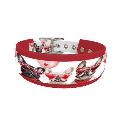 L'atelier du Fourmilier collier double 207 Collier double large pour chien en BioThane® imprimé – Collection chiens– 38/25 mm