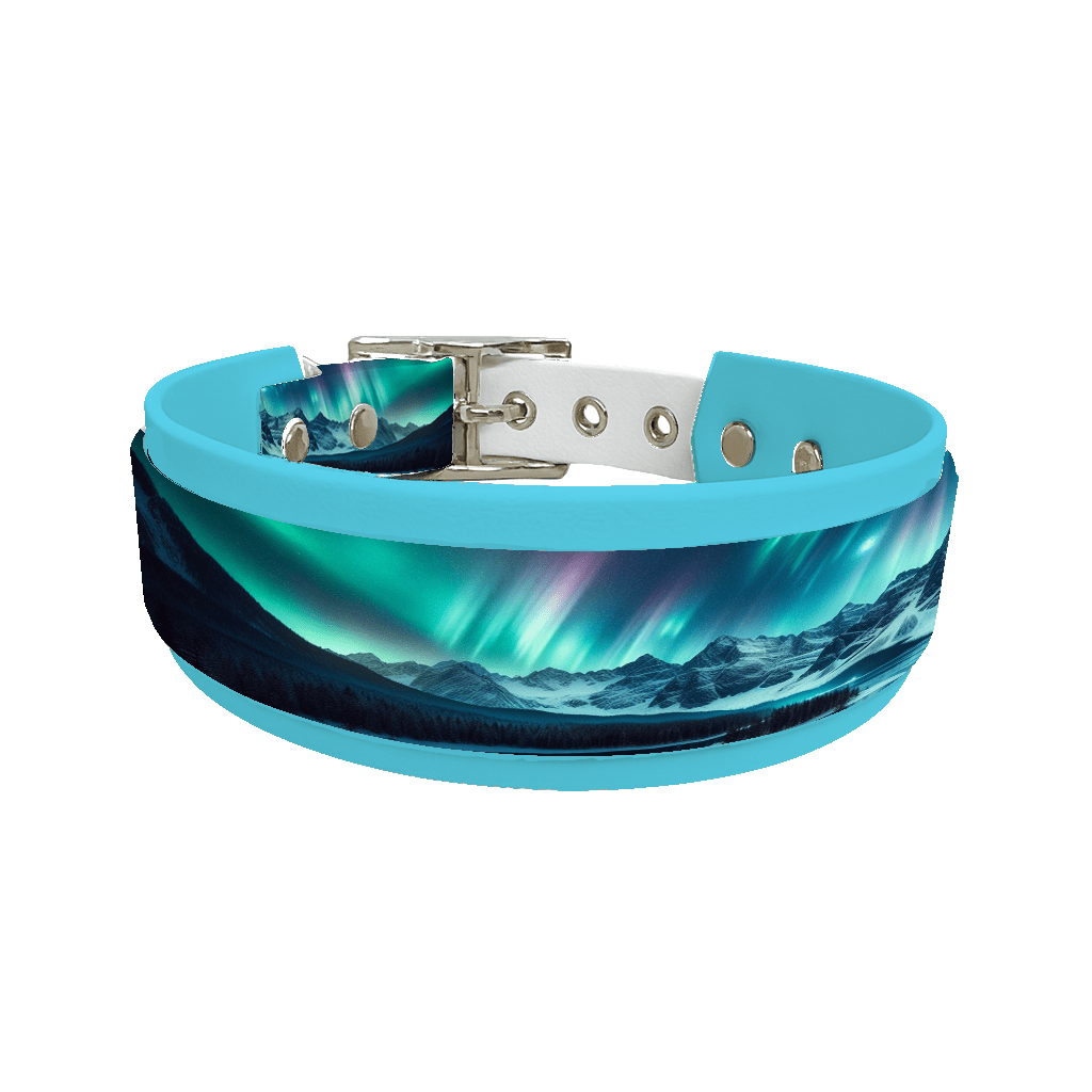 L'atelier du Fourmilier collier double 22 Collier double large pour chien en BioThane® imprimé – Collection paysage– 38/25 mm