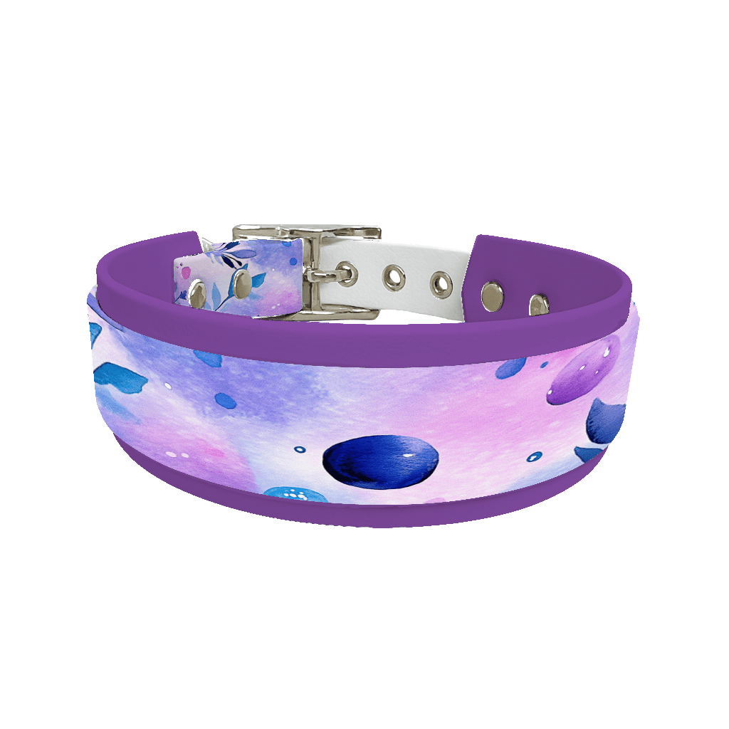 L'atelier du Fourmilier collier double 225 Collier double large pour chien en BioThane® imprimé – Collection galaxie – 38/25 mm