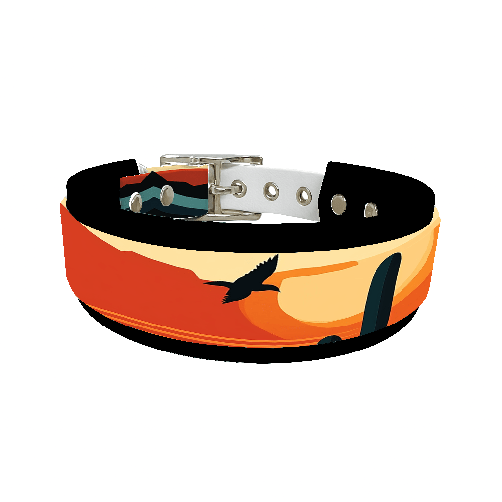 L'atelier du Fourmilier collier double 226 Collier double large pour chien en BioThane® imprimé – Collection paysage– 38/25 mm