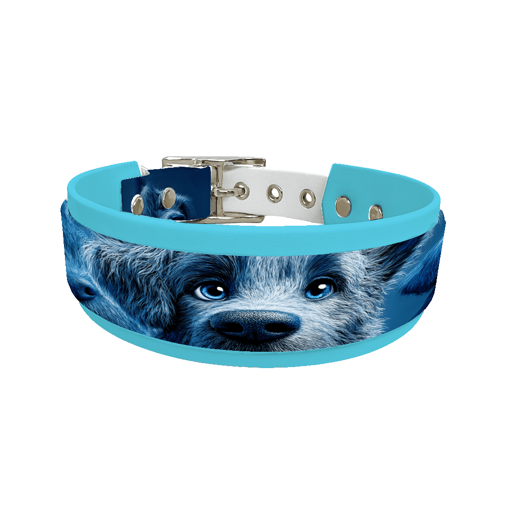 L'atelier du Fourmilier collier double 232 Collier double large pour chien en BioThane® imprimé – Collection chiens– 38/25 mm