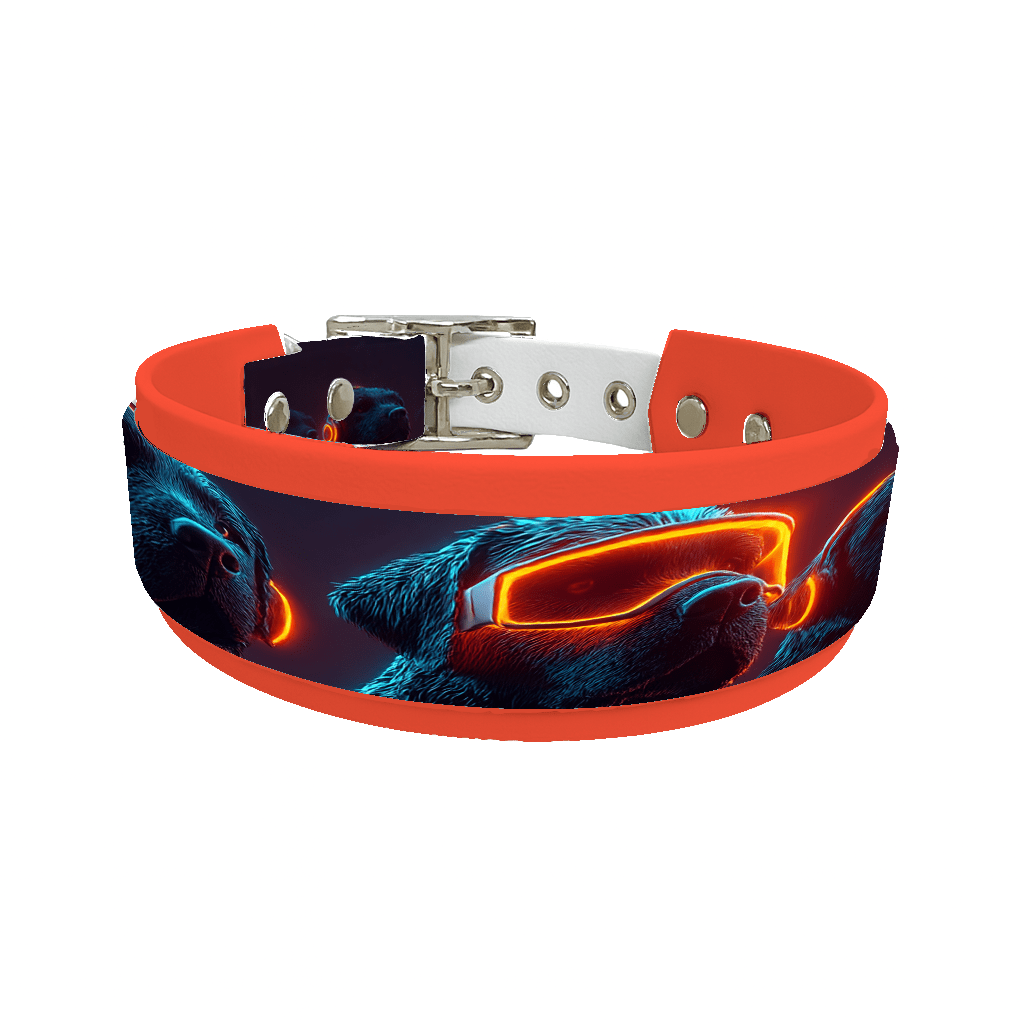 L'atelier du Fourmilier collier double 233 Collier double large pour chien en BioThane® imprimé – Collection chiens– 38/25 mm