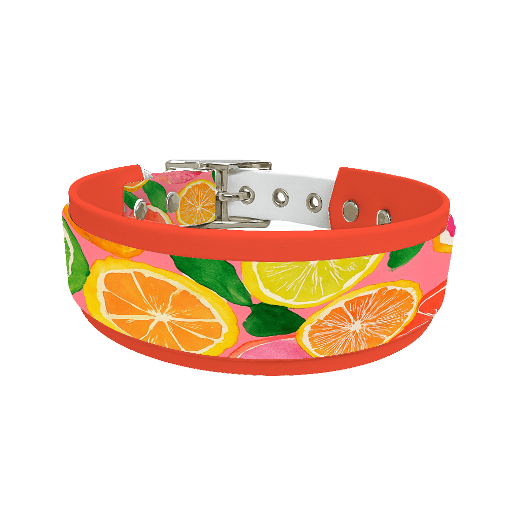 L'atelier du Fourmilier collier double 234 Collier double large pour chien en BioThane® imprimé – Collection gourmandise – 38/25 mm