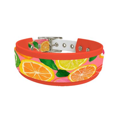 L'atelier du Fourmilier collier double 234 Collier double large pour chien en BioThane® imprimé – Collection gourmandise – 38/25 mm