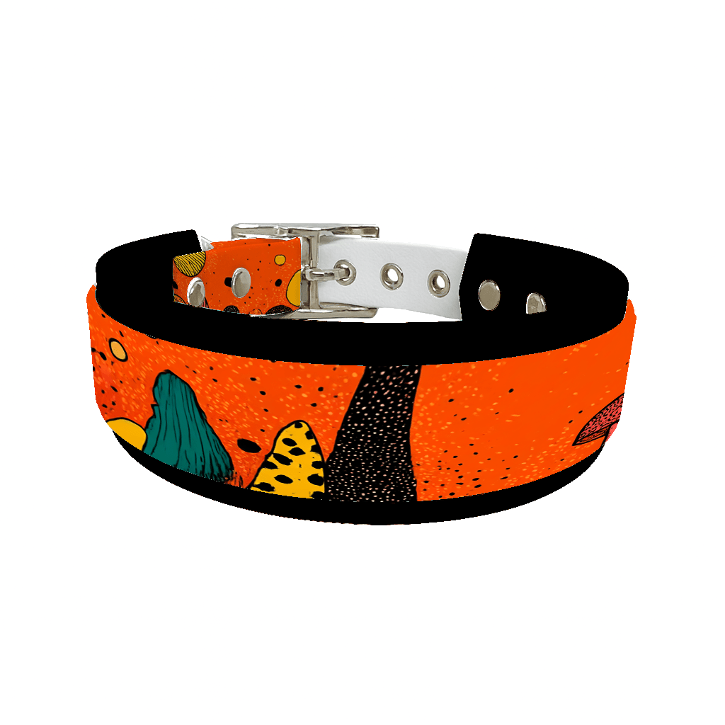 L'atelier du Fourmilier collier double 245 Collier double large pour chien en BioThane® imprimé – Collection paysage– 38/25 mm