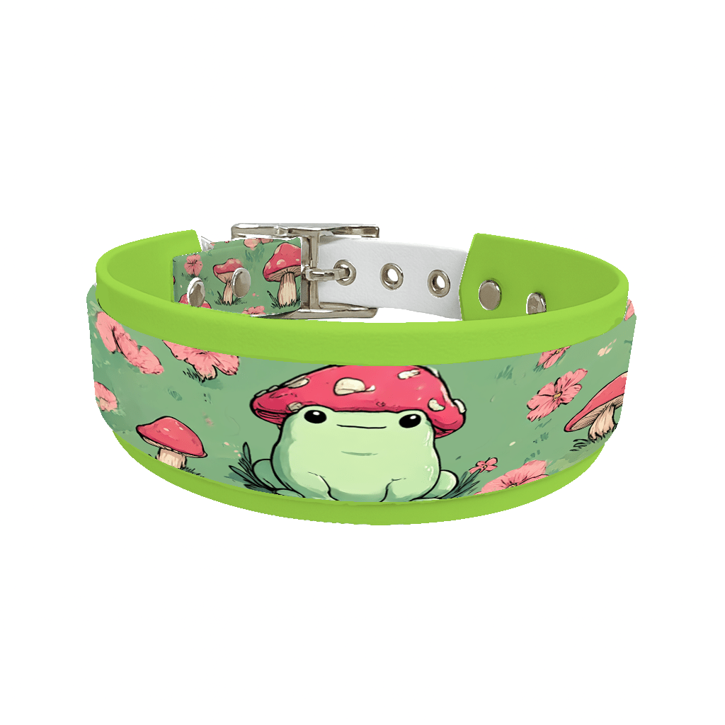 L'atelier du Fourmilier collier double 248 Collier double large pour chien en BioThane® imprimé – Collection monstres et créatures imaginaires– 38/25 mm