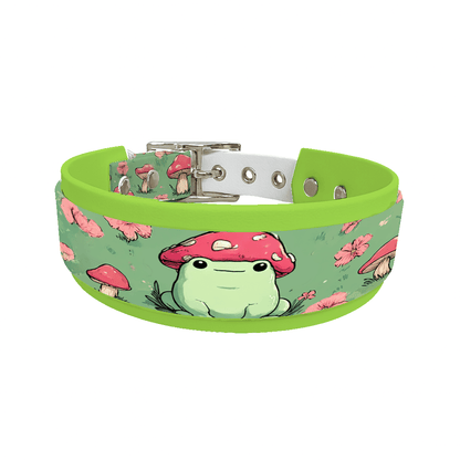 L'atelier du Fourmilier collier double 248 Collier double large pour chien en BioThane® imprimé – Collection monstres et créatures imaginaires– 38/25 mm