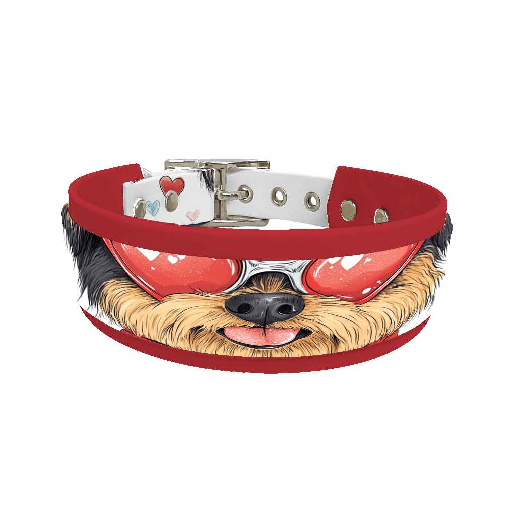 L'atelier du Fourmilier collier double 254 Collier double large pour chien en BioThane® imprimé – Collection chiens– 38/25 mm