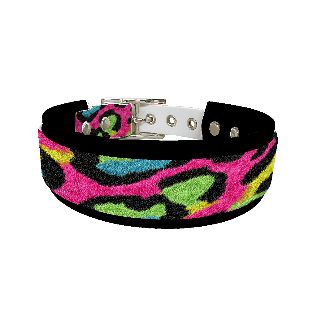 L'atelier du Fourmilier collier double 259 Collier double large pour chien en BioThane® imprimé – Collection fourrures et pelages – 38/25 mm