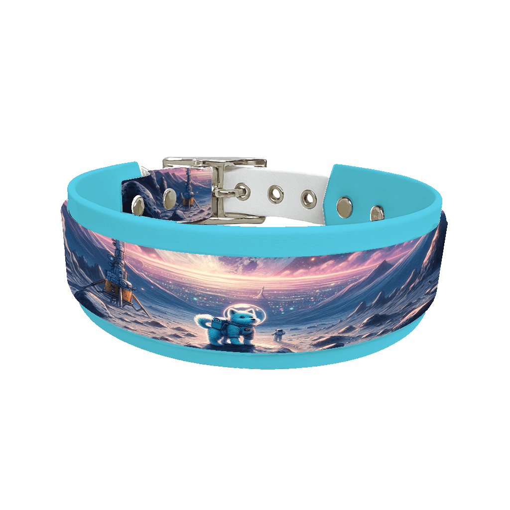 L'atelier du Fourmilier collier double 26 Collier double large pour chien en BioThane® imprimé – Collection chiens– 38/25 mm