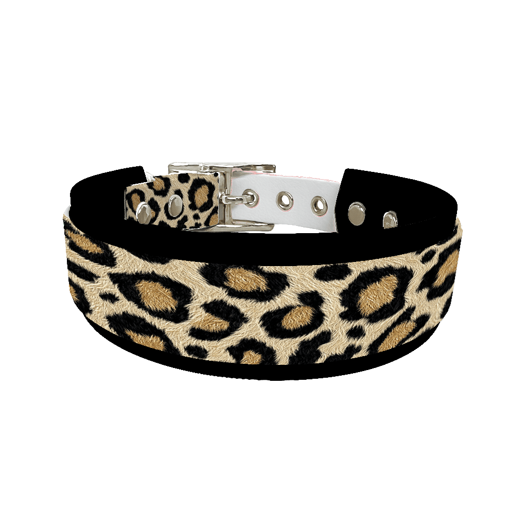 L'atelier du Fourmilier collier double 260 Collier double large pour chien en BioThane® imprimé – Collection fourrures et pelages – 38/25 mm