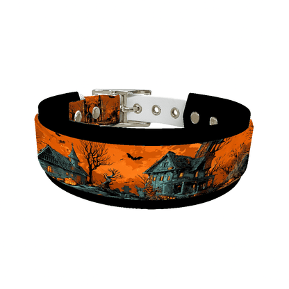 L'atelier du Fourmilier collier double 286 Collier double large pour chien en BioThane® imprimé – Collection Halloween– 38/25 mm