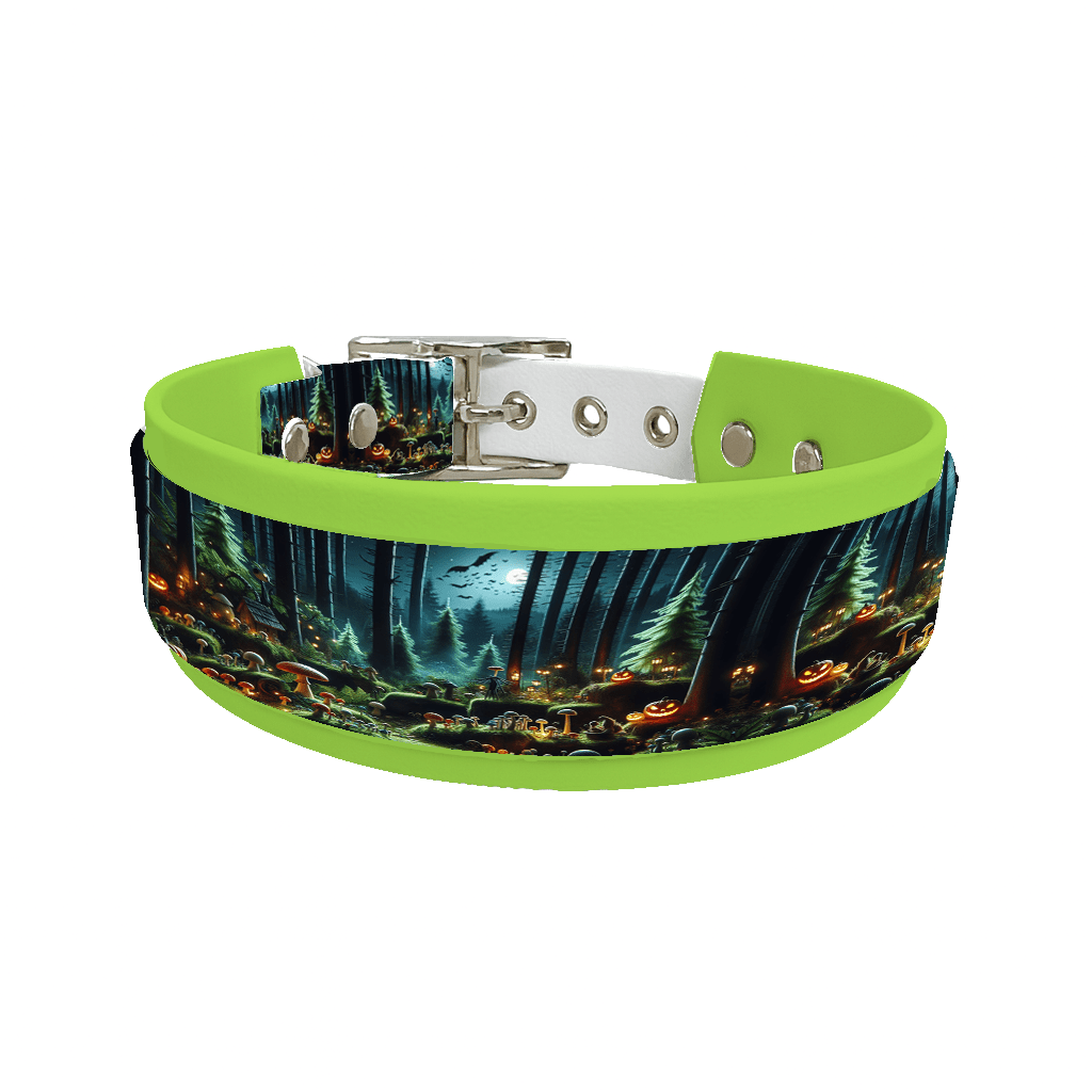 L'atelier du Fourmilier collier double 29 Collier double large pour chien en BioThane® imprimé – Collection Halloween– 38/25 mm