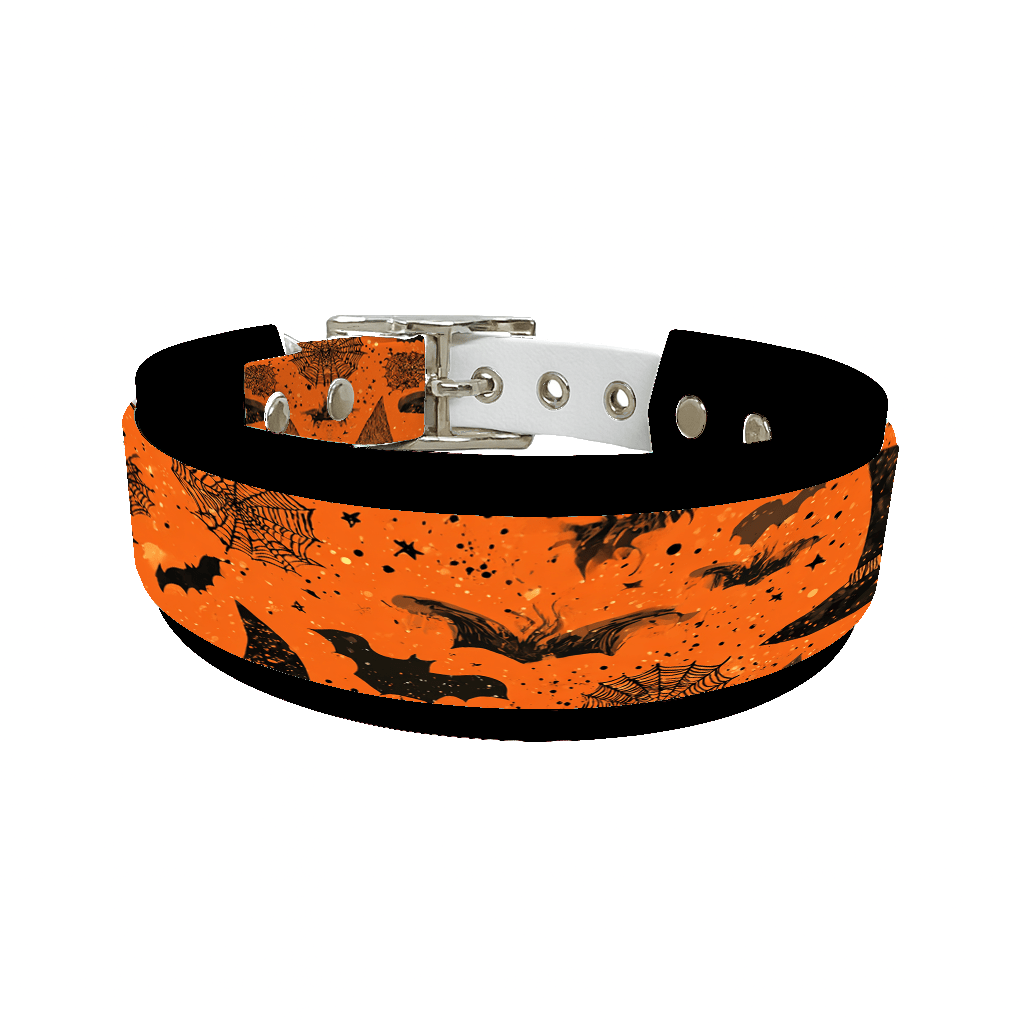 L'atelier du Fourmilier collier double 290 Collier double large pour chien en BioThane® imprimé – Collection Halloween– 38/25 mm