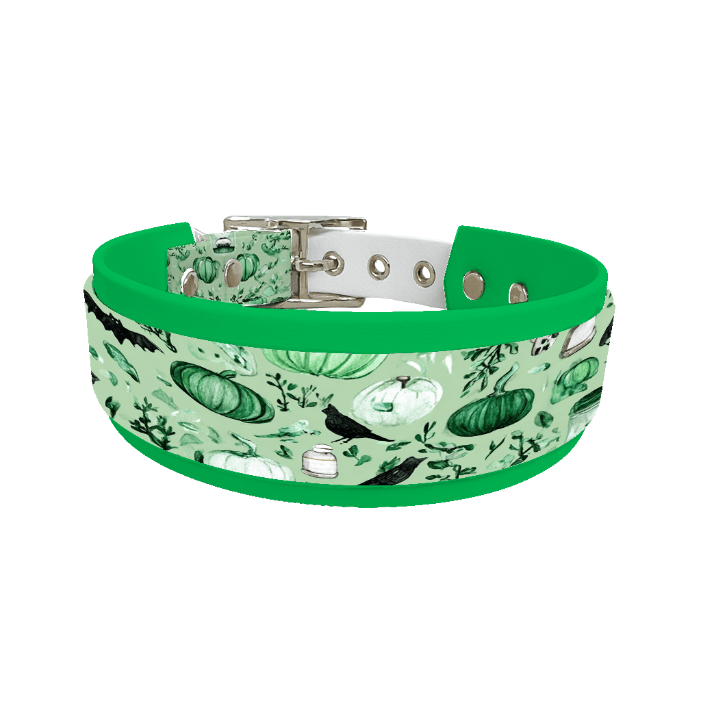 L'atelier du Fourmilier collier double 293 Collier double large pour chien en BioThane® imprimé – Collection Halloween– 25/19 mm