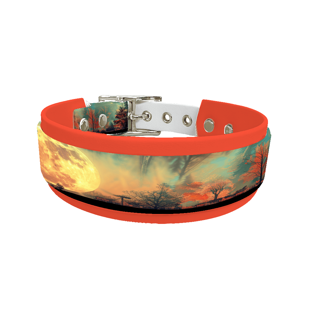 L'atelier du Fourmilier collier double 296 Collier double large pour chien en BioThane® imprimé – Collection paysage– 38/25 mm