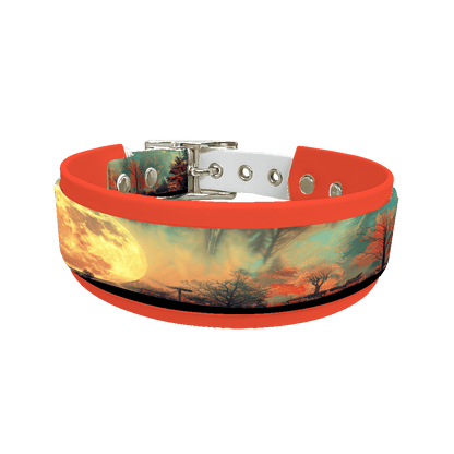 L'atelier du Fourmilier collier double 296 Collier double large pour chien en BioThane® imprimé – Collection paysage– 38/25 mm