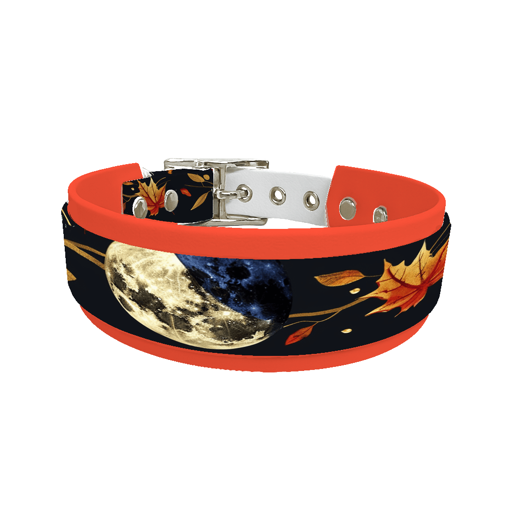 L'atelier du Fourmilier collier double 297 Collier double large pour chien en BioThane® imprimé – Collection galaxie – 38/25 mm