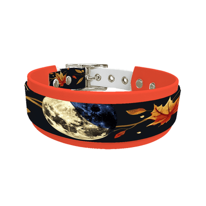 L'atelier du Fourmilier collier double 297 Collier double large pour chien en BioThane® imprimé – Collection galaxie – 38/25 mm