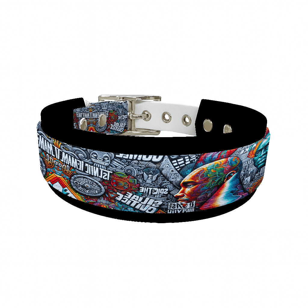 L'atelier du Fourmilier collier double 34 Collier double large pour chien en BioThane® imprimé – Collection pop art– 38/25 mm