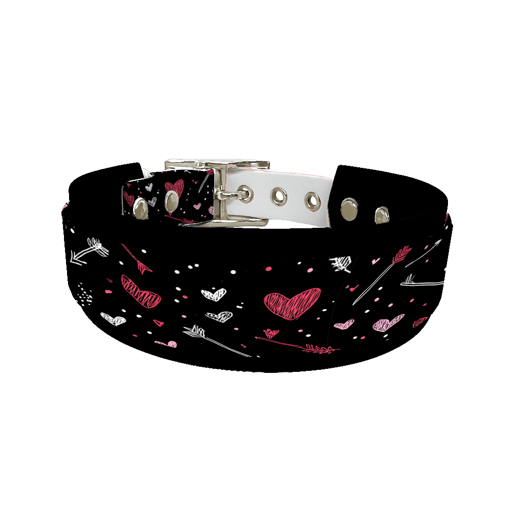 L'atelier du Fourmilier collier double 344 Colliers doubles pour chien – Collection Saint-Valentin (25 mm / 38 mm)