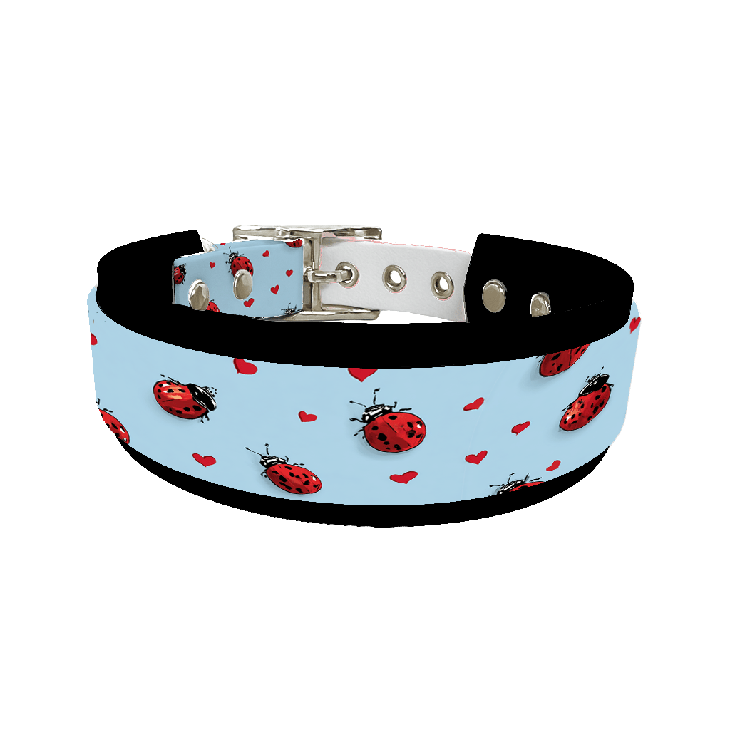 L'atelier du Fourmilier collier double 351 Colliers doubles pour chien – Collection Saint-Valentin (25 mm / 38 mm)
