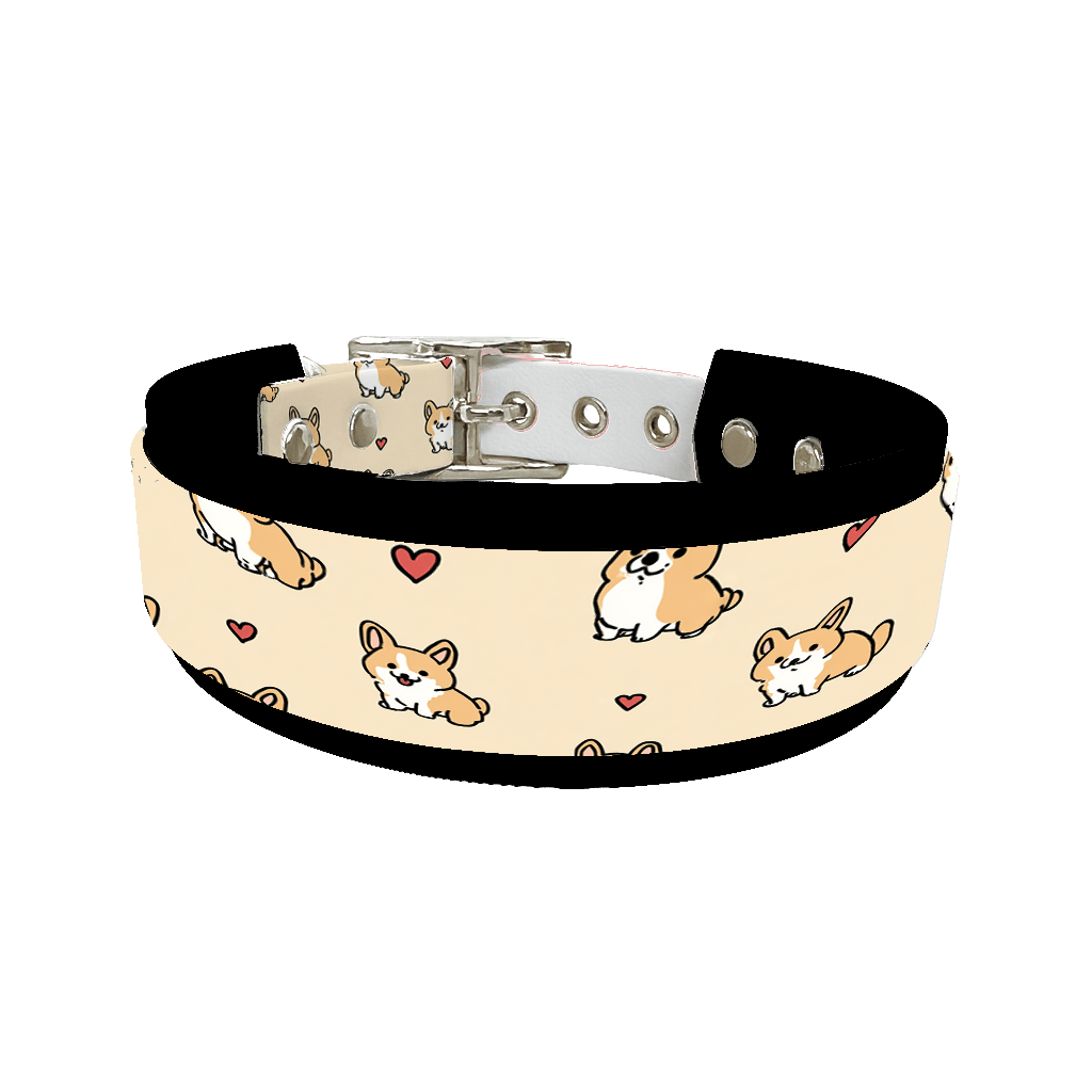 L'atelier du Fourmilier collier double 352 Colliers doubles pour chien – Collection Saint-Valentin (25 mm / 38 mm)