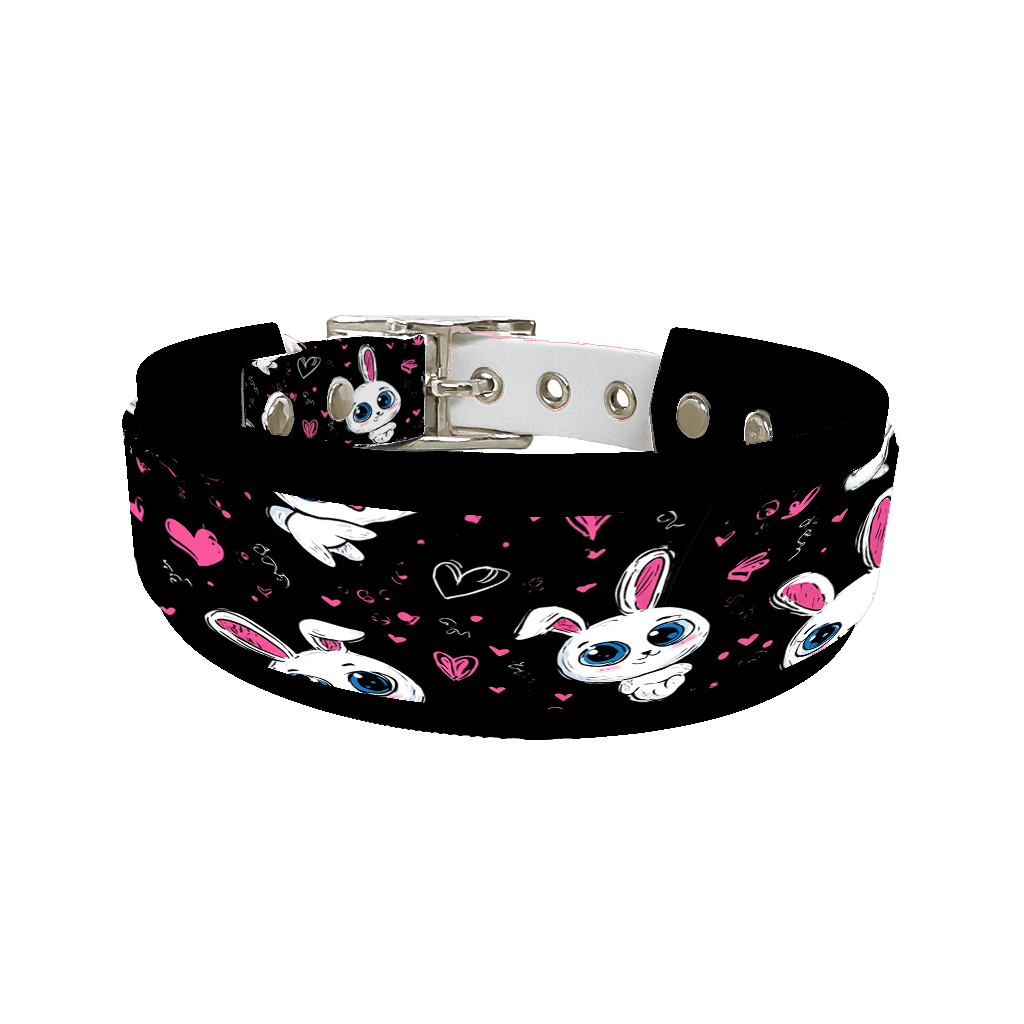 L'atelier du Fourmilier collier double 353 Colliers doubles pour chien – Collection Saint-Valentin (25 mm / 38 mm)