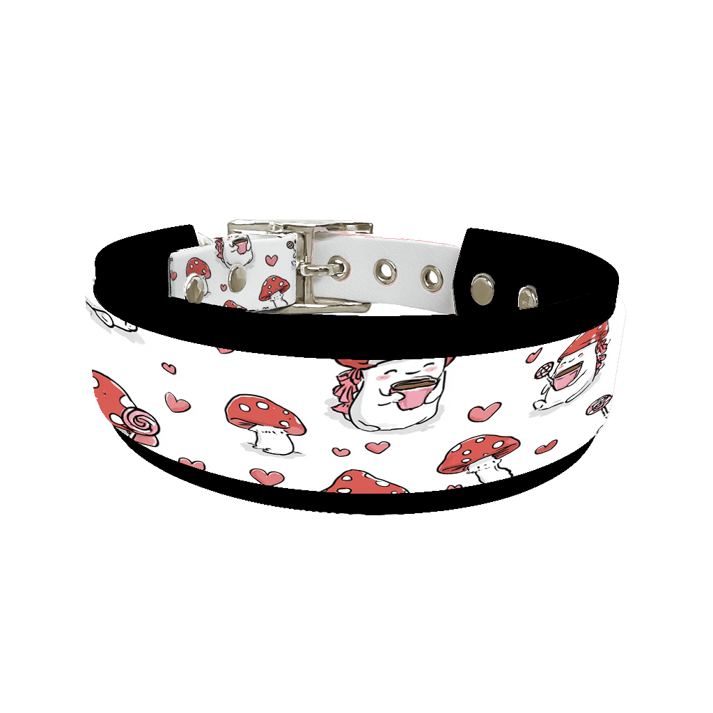 L'atelier du Fourmilier collier double 354 Colliers doubles pour chien – Collection Saint-Valentin (25 mm / 38 mm)