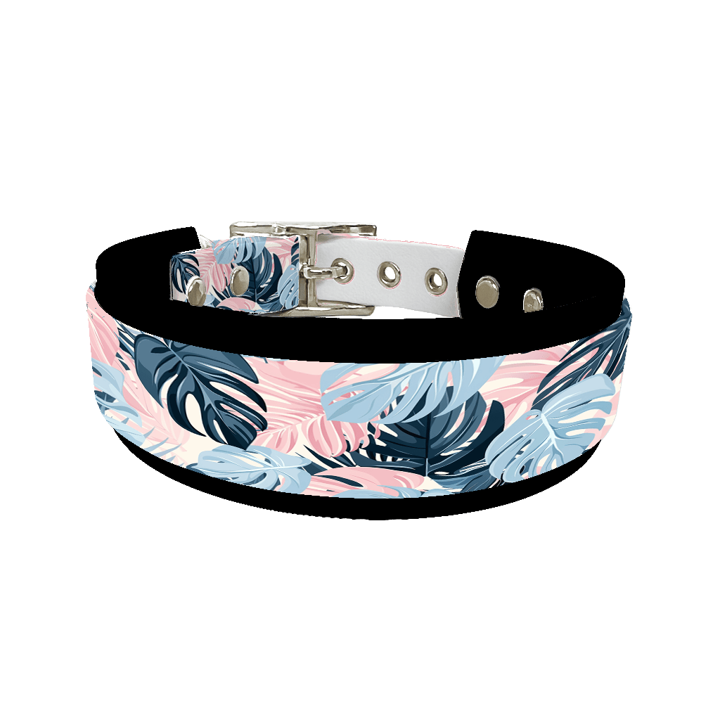 L'atelier du Fourmilier collier double 363 Collier double large pour chien en BioThane® imprimé – Collection plantes et fleurs – 38/25 mm