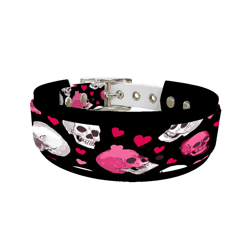 L'atelier du Fourmilier collier double 365 Colliers doubles pour chien – Collection Saint-Valentin (25 mm / 38 mm)