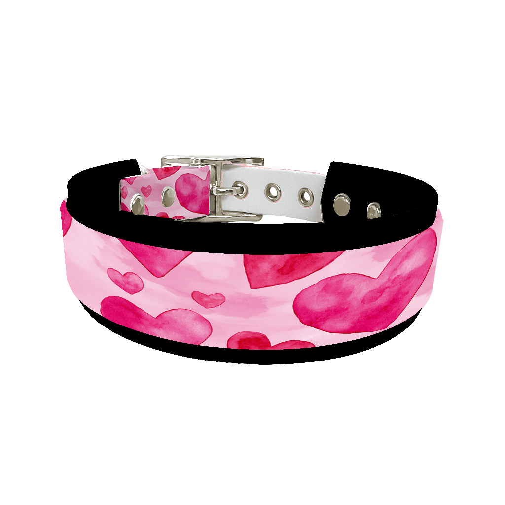 L'atelier du Fourmilier collier double 371 Colliers doubles pour chien – Collection Saint-Valentin (25 mm / 38 mm)