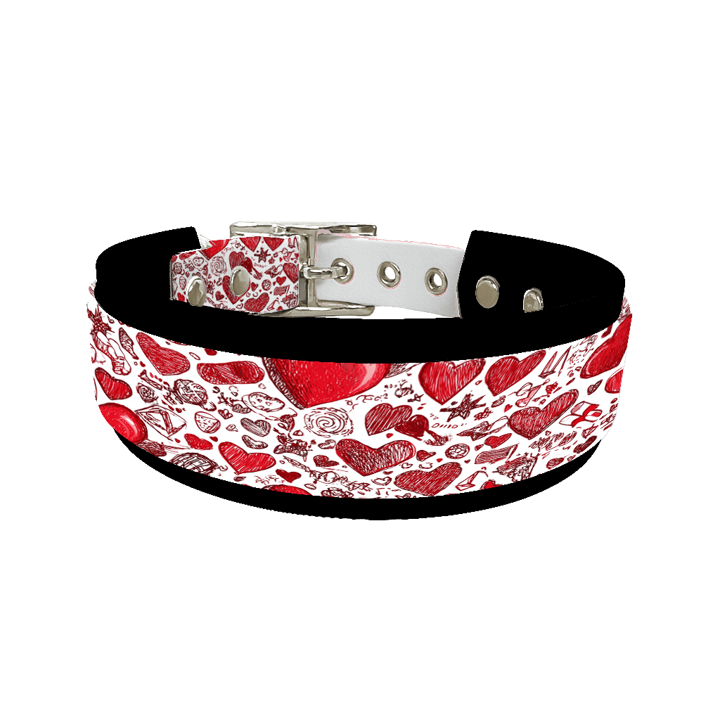 L'atelier du Fourmilier collier double 373 Colliers doubles pour chien – Collection Saint-Valentin (25 mm / 38 mm)