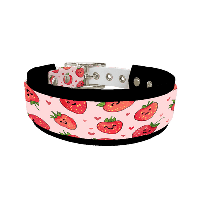 L'atelier du Fourmilier collier double 377 Colliers doubles pour chien – Collection Saint-Valentin (25 mm / 38 mm)