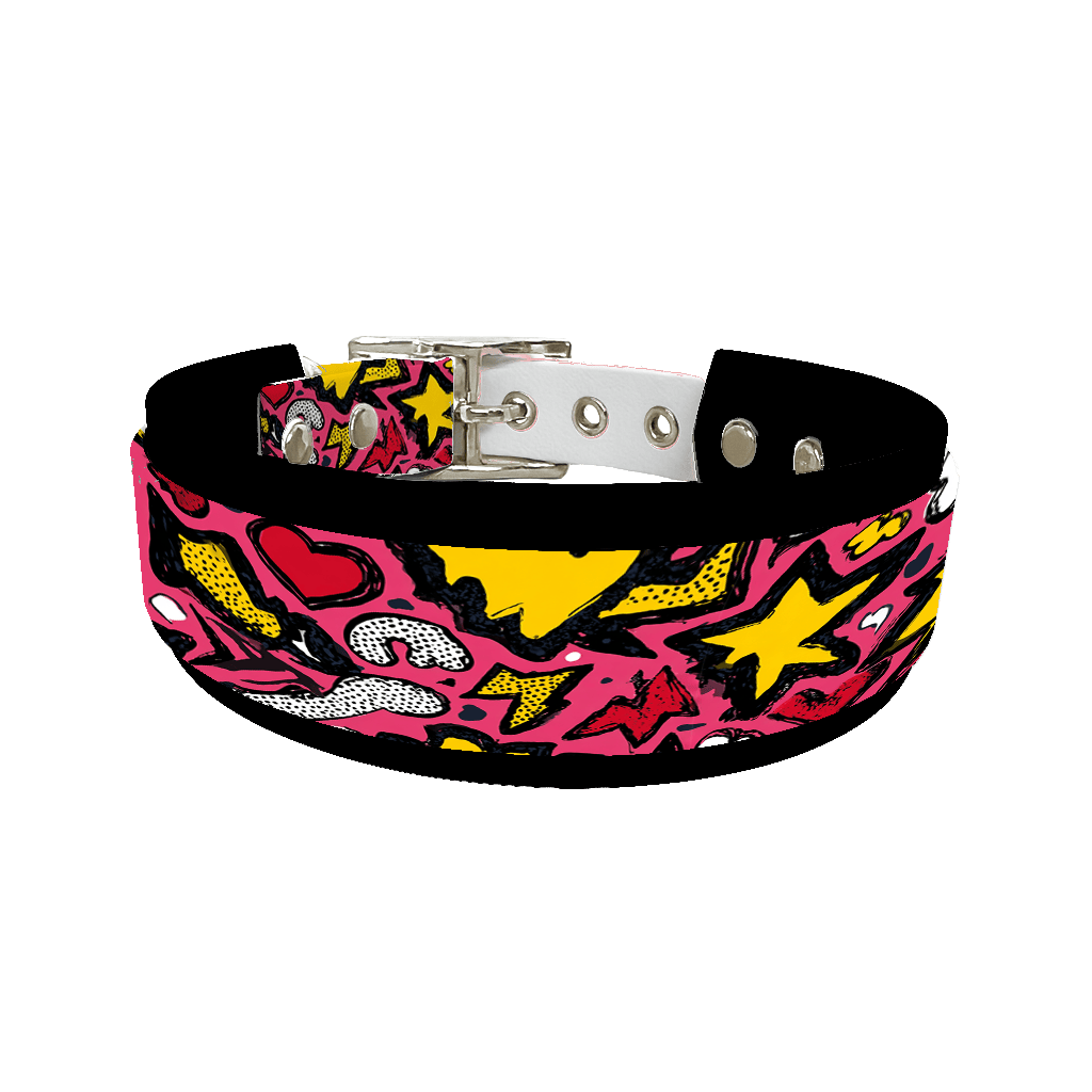 L'atelier du Fourmilier collier double 408 Collier double large pour chien en BioThane® imprimé – Collection pop art– 38/25 mm